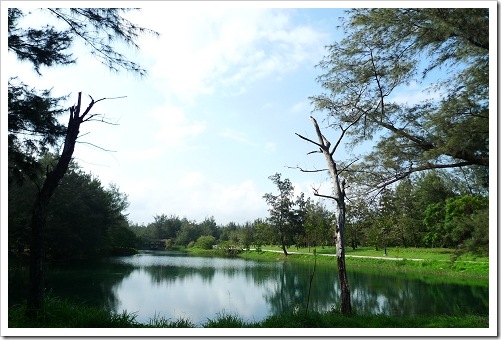 24915807:[LX3] 台東市海濱公園+琵琶湖