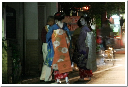 25050636:[遊記] 京都 宮川町夜の散策之遇見藝妓