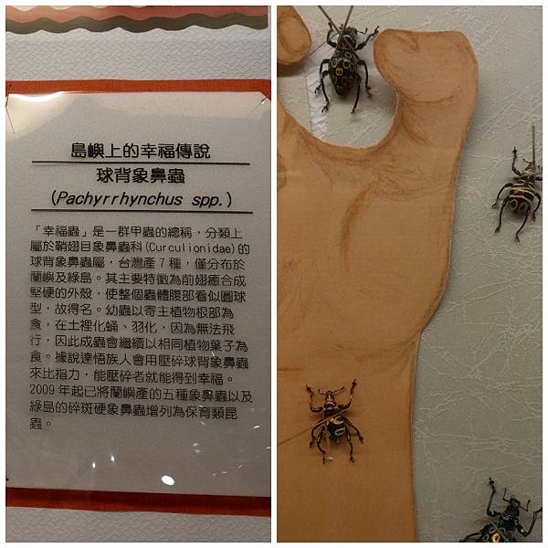 CollageMaker_20200824_140711106.jpg CollageMaker_20200824_140711106.jpg