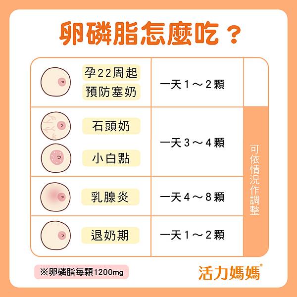 懷孕哺乳卵磷脂怎麼吃