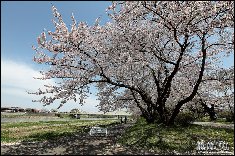 IMG_4196.JPG IMG_4196.JPG