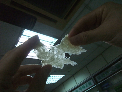 龐多米120522.jpg