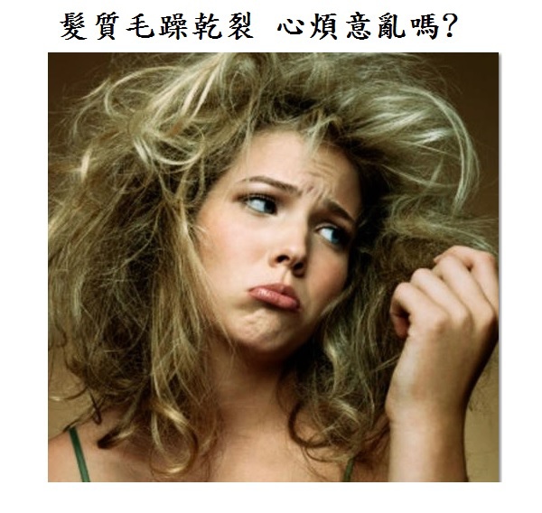 髮質毛躁 髮質毛躁