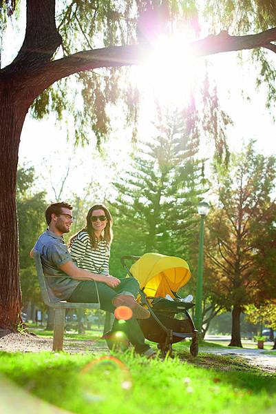 2241H5400_Armadillo_Lemon_Drop_SA_1370