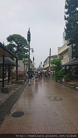 DSC_8699.JPG DSC_8699.JPG