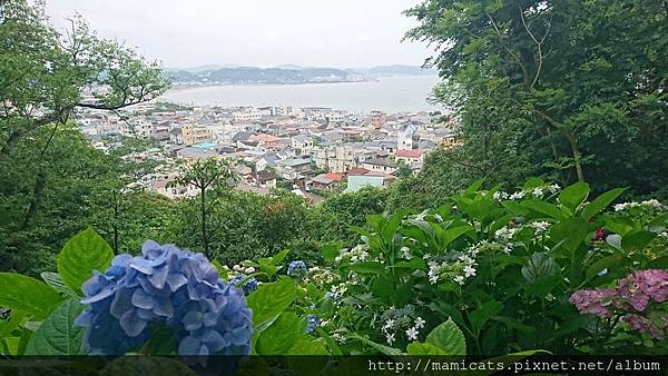 DSC_8713.JPG DSC_8713.JPG