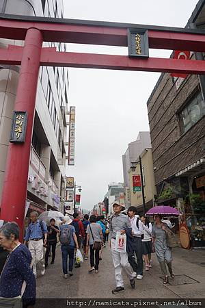 DSC04591.JPG DSC04591.JPG