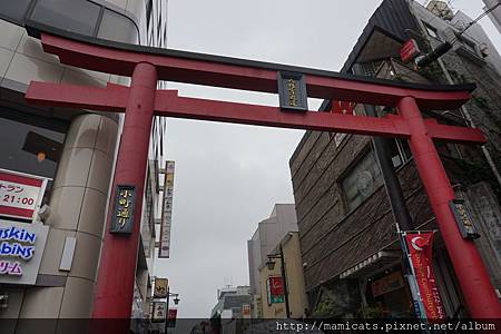 DSC04590.JPG DSC04590.JPG