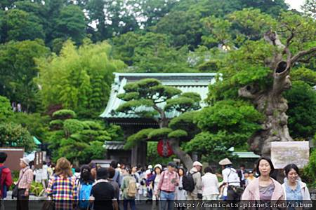 DSC04640.JPG DSC04640.JPG