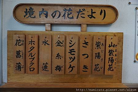 DSC04642.JPG DSC04642.JPG