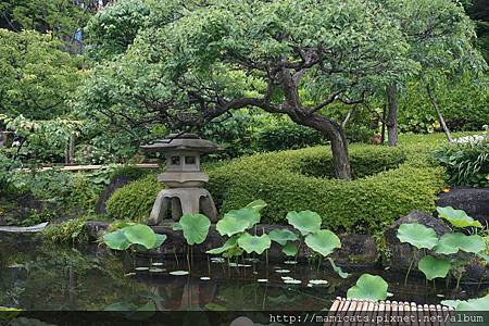 DSC04643.JPG DSC04643.JPG