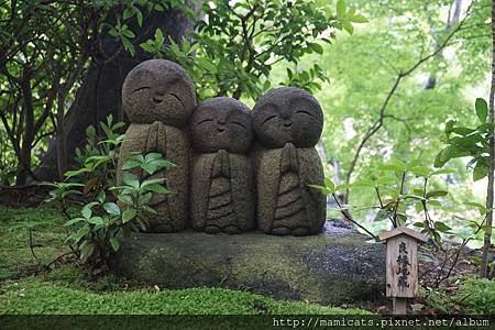 DSC04654.JPG DSC04654.JPG