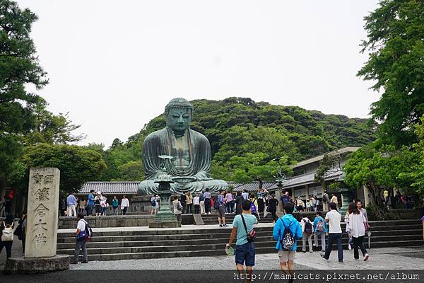 DSC04702.JPG DSC04702.JPG