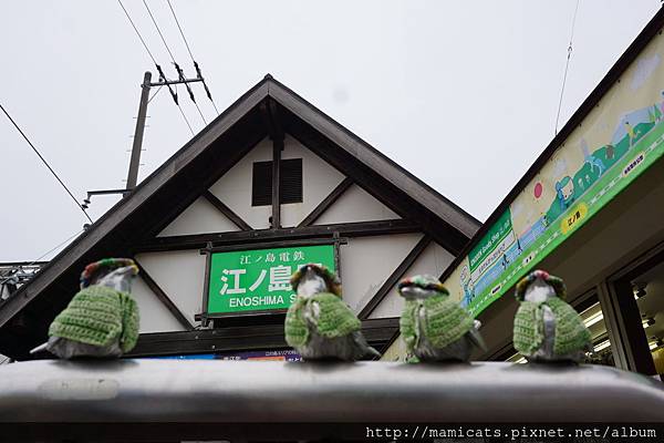 DSC04764.JPG DSC04764.JPG