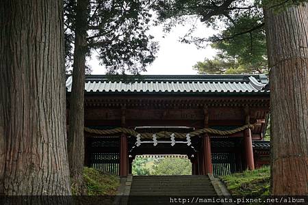 DSC04801.JPG DSC04801.JPG