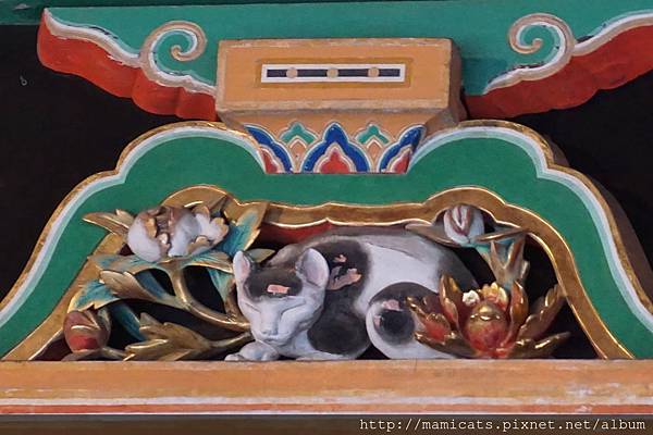 DSC04917.JPG DSC04917.JPG