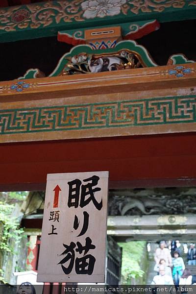 DSC04918.JPG DSC04918.JPG