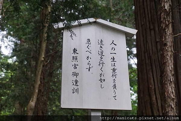 DSC04919.JPG DSC04919.JPG