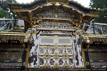 DSC04950.JPG DSC04950.JPG