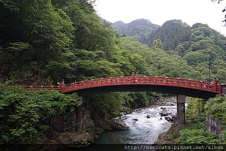 DSC04989.JPG DSC04989.JPG