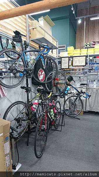 DSC_8831.JPG DSC_8831.JPG