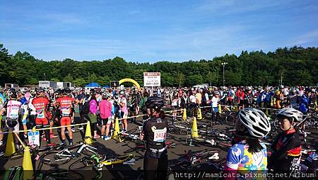 DSC_9031.JPG DSC_9031.JPG