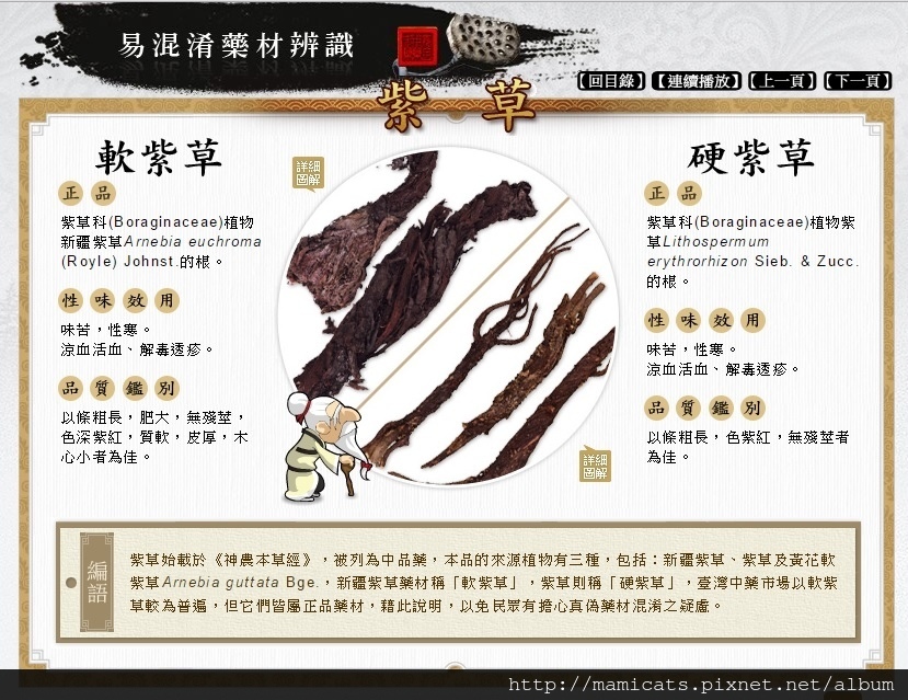 辨識軟硬紫草.jpg 辨識軟硬紫草.jpg