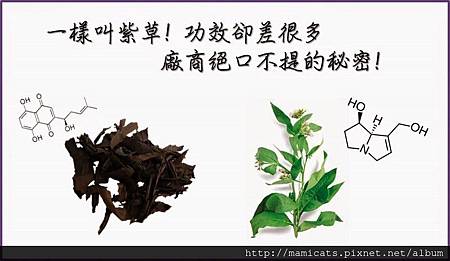 比較.jpg 比較.jpg