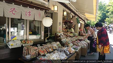 DSC_3346.JPG DSC_3346.JPG