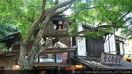 DSC_3355.JPG DSC_3355.JPG