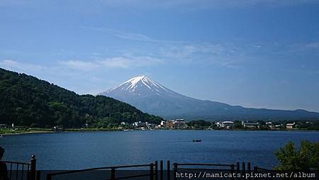 DSC_3370.JPG DSC_3370.JPG