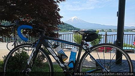 DSC_3373.JPG DSC_3373.JPG