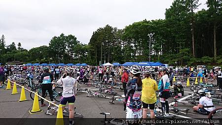 DSC_3435.JPG DSC_3435.JPG