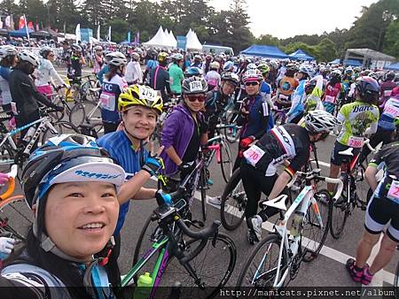 DSC_3442.JPG DSC_3442.JPG