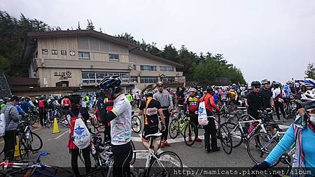 DSC_3462.JPG DSC_3462.JPG