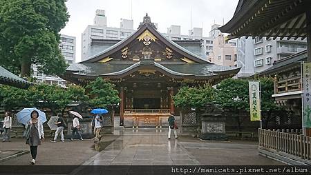 DSC_3534.JPG DSC_3534.JPG