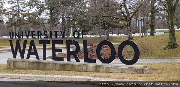 20180221_131613.jpg 20180221_131613.jpg