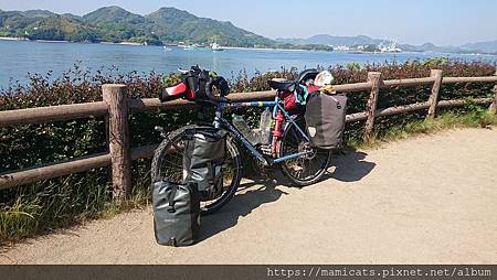 DSC_2438.JPG DSC_2438.JPG