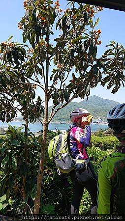 DSC_2454.JPG DSC_2454.JPG