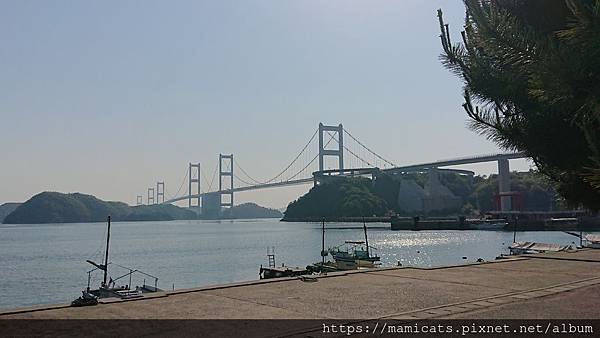 DSC_2520.JPG DSC_2520.JPG