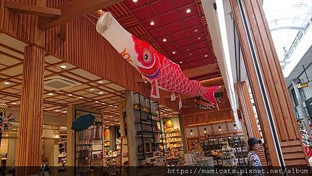 DSC_2565.JPG DSC_2565.JPG