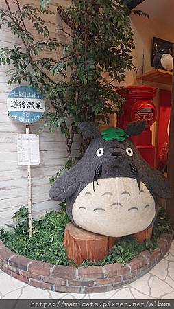 DSC_2567.JPG DSC_2567.JPG