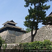 DSC_2618.JPG DSC_2618.JPG