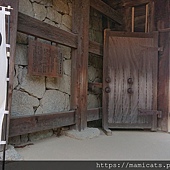 DSC_2631.JPG DSC_2631.JPG