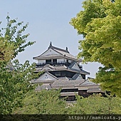 DSC_2638.JPG DSC_2638.JPG