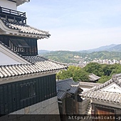 DSC_2731.JPG DSC_2731.JPG