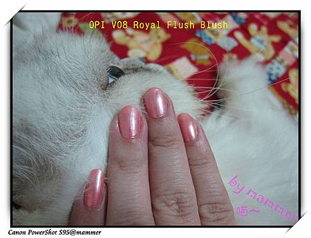 OPI_V08_2.layerwithcat.jpg