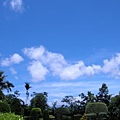 0706 天空下的庭院造景