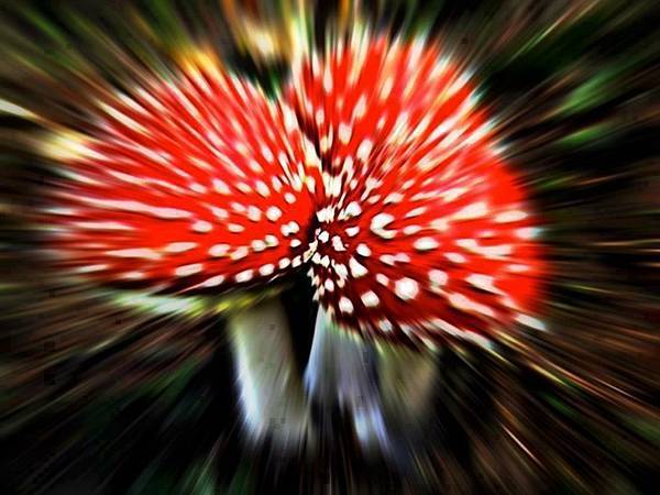 我覺故我在 我覺故我在