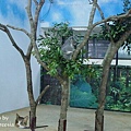 DSC00089_大小.JPG